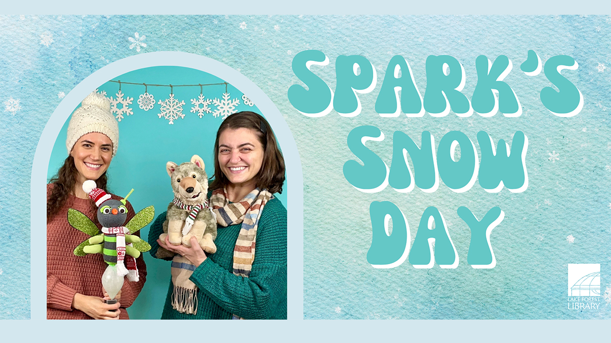 Sparks Snow Day at Lake Forest Public Library